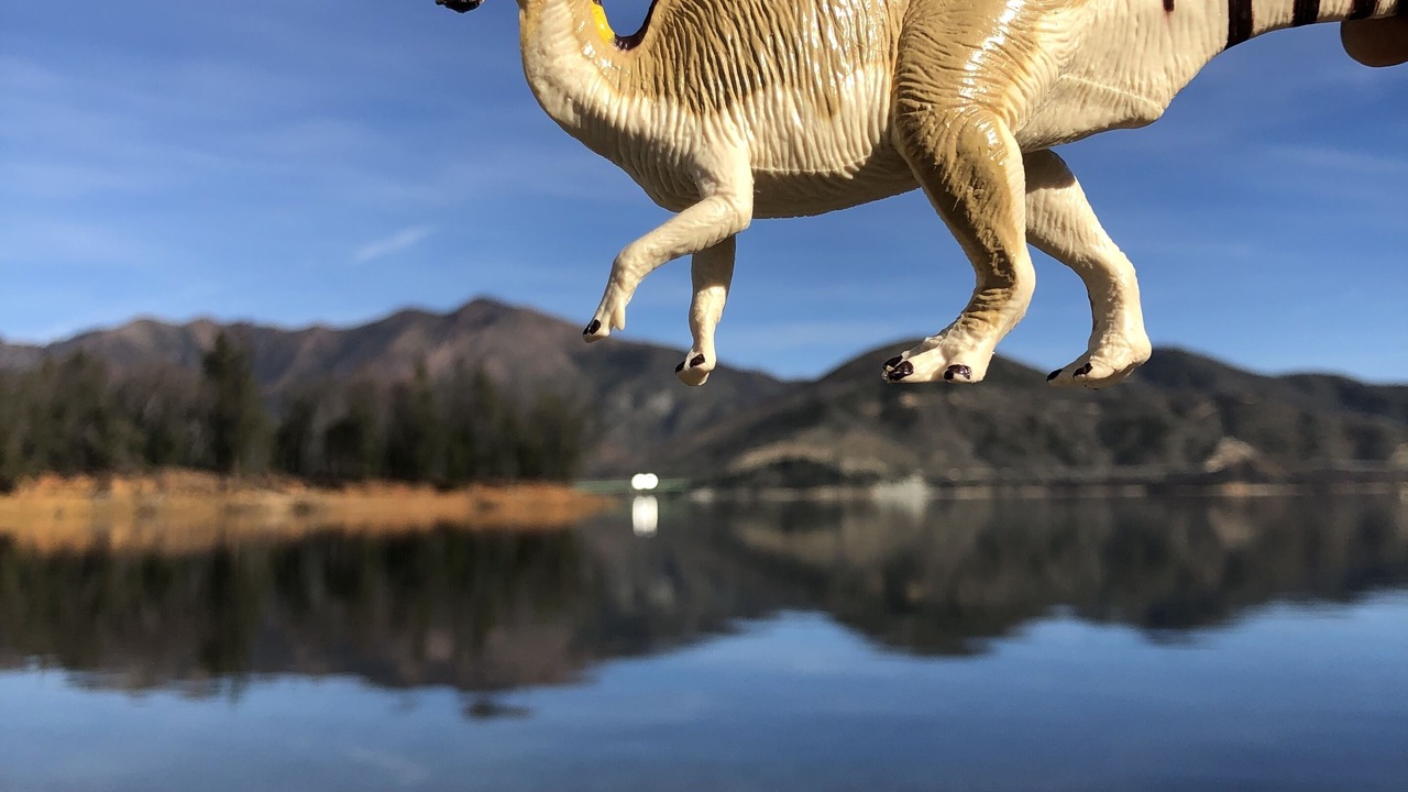 Photo of Others in Shasta