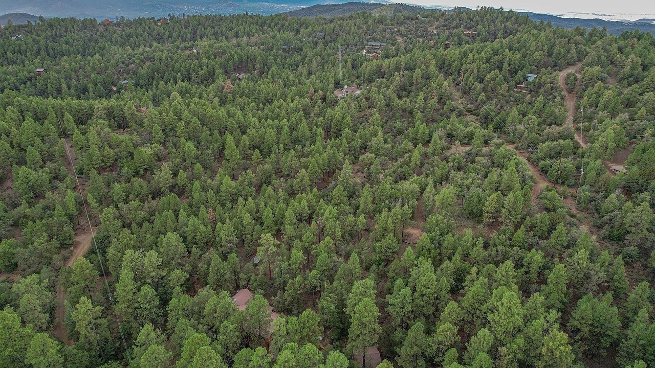 Photo of Outdoor in Prescott