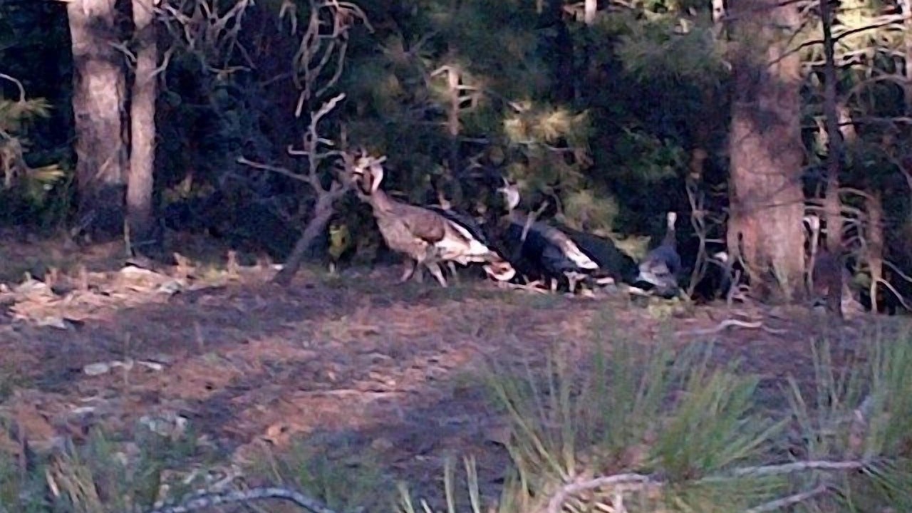 Photo of Others in Prescott