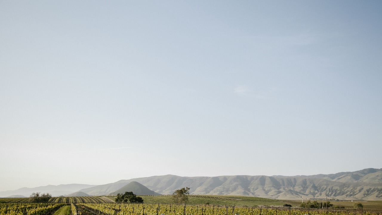 Photo of Others in San Luis Obispo