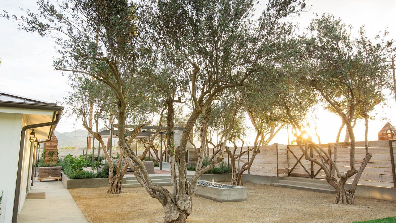 Photo of Outdoor in San Luis Obispo
