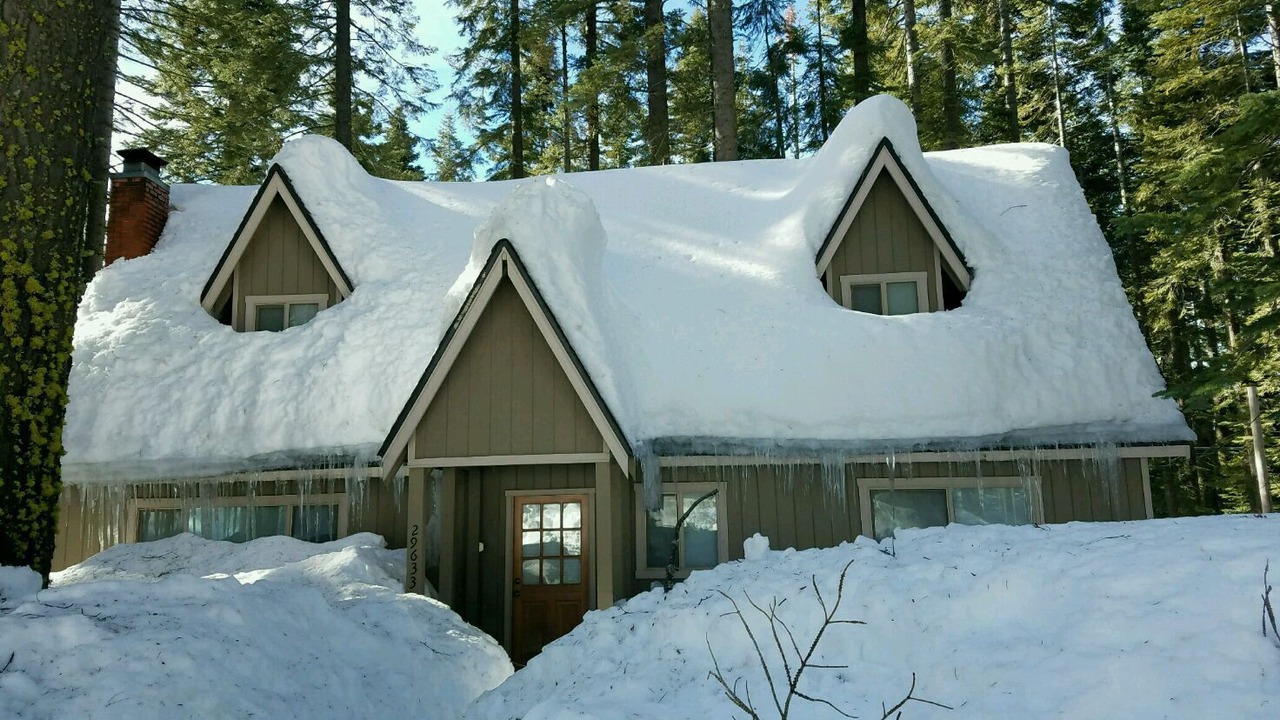 Photo of Outdoor in Pinecrest