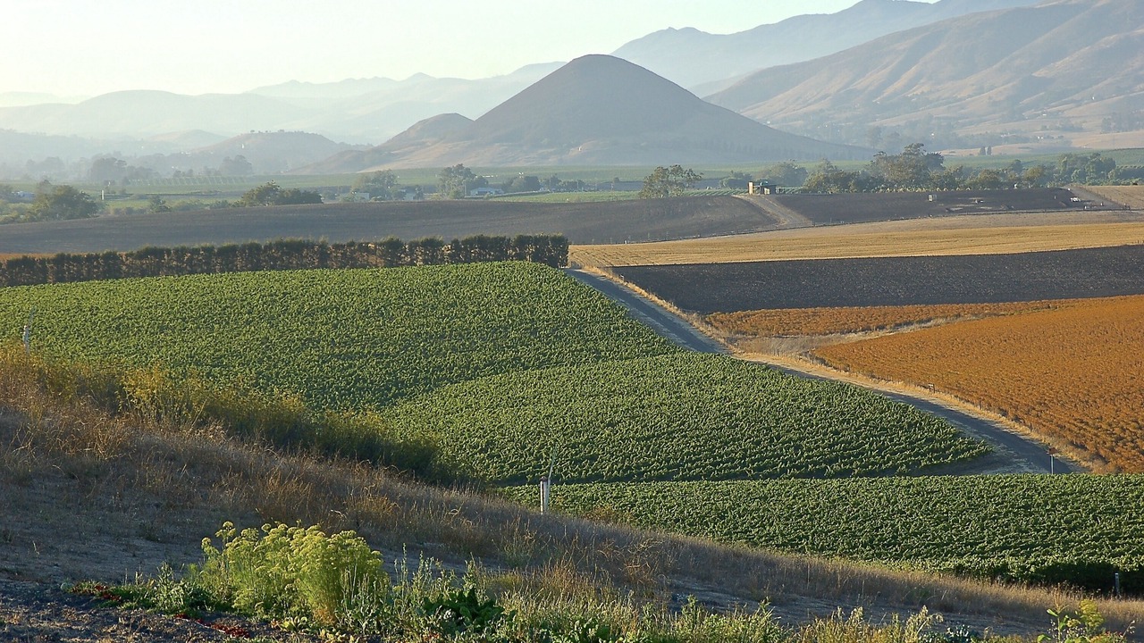 Photo of Outdoor in Arroyo Grande