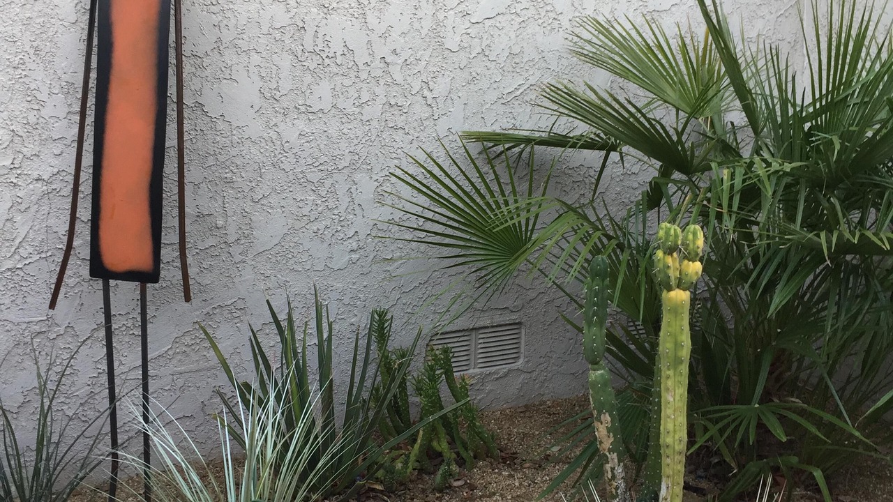Photo of Outdoor in Sunrise Vista Chino
