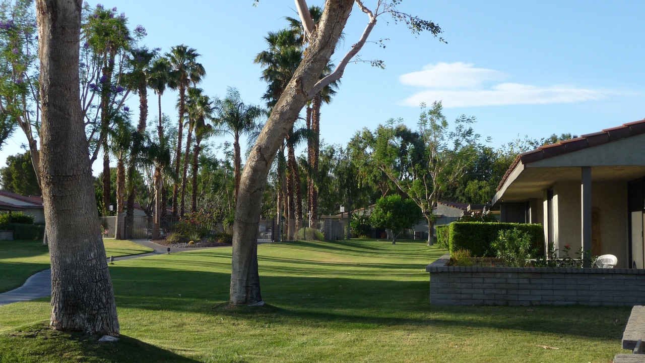 Photo of Outdoor in Sunrise Vista Chino