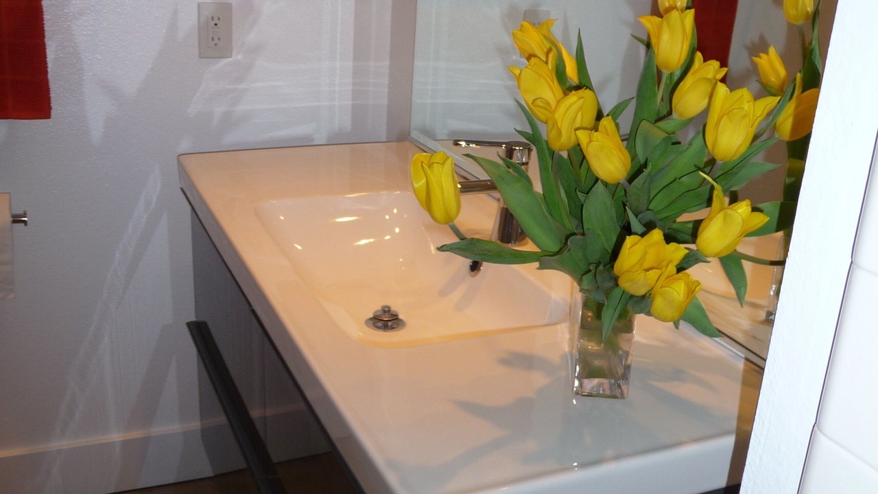 Photo of Bathroom in Sunrise Vista Chino
