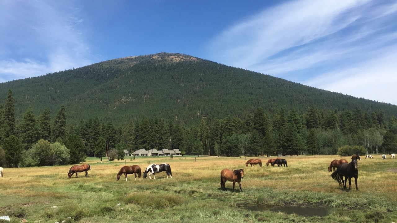 Photo of Outdoor in Black Butte Ranch
