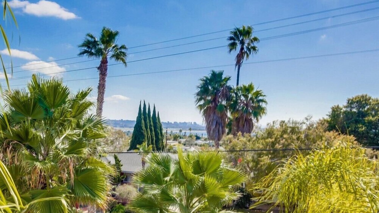 Photo of Outdoor in North Pacific Beach