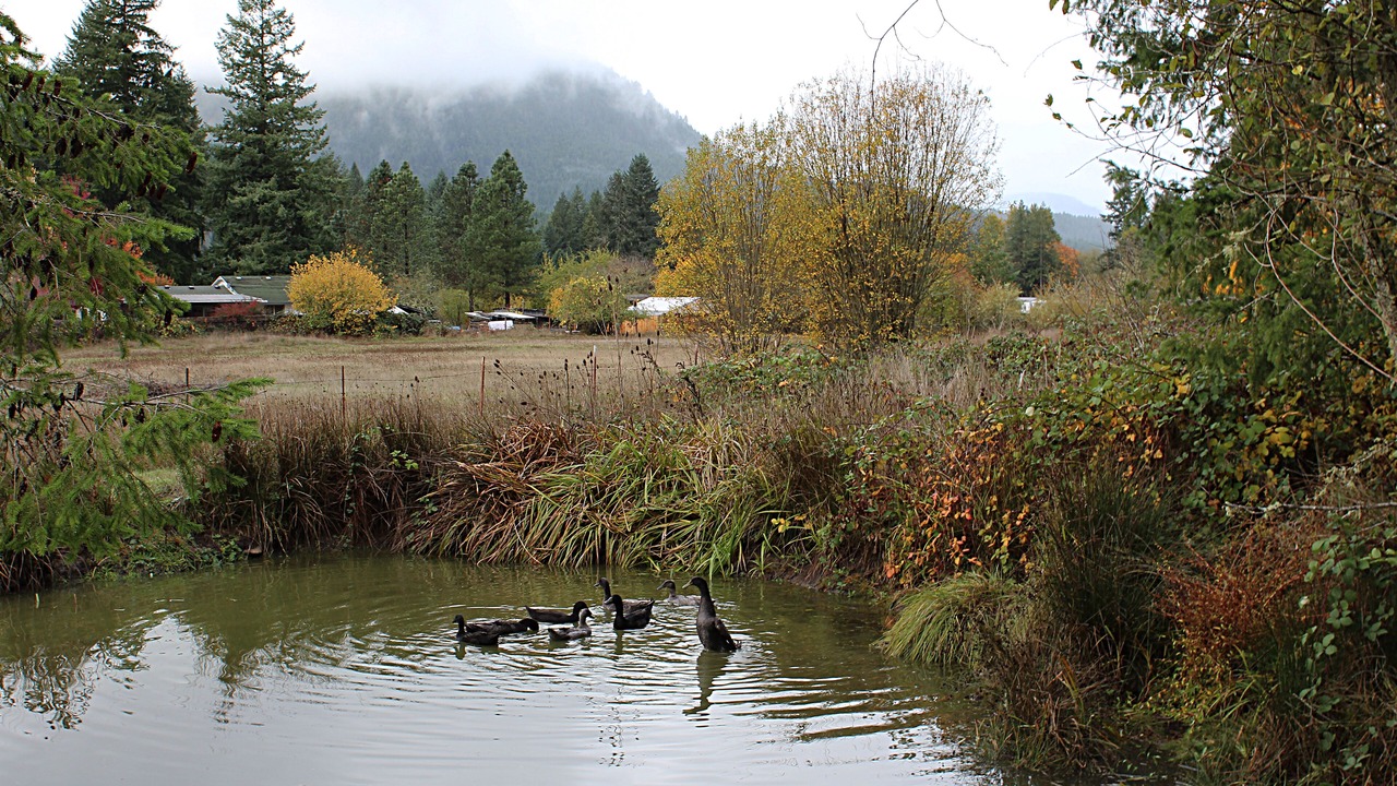 Photo of Outdoor in Cottage Grove