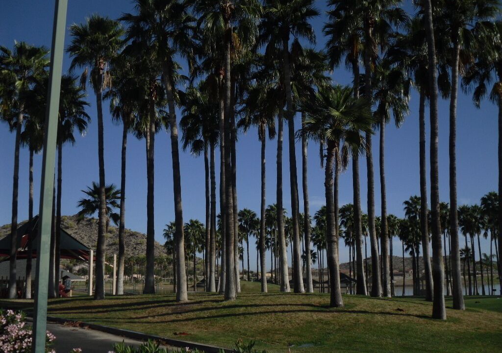 Photo of Others in Montecito in Estrella