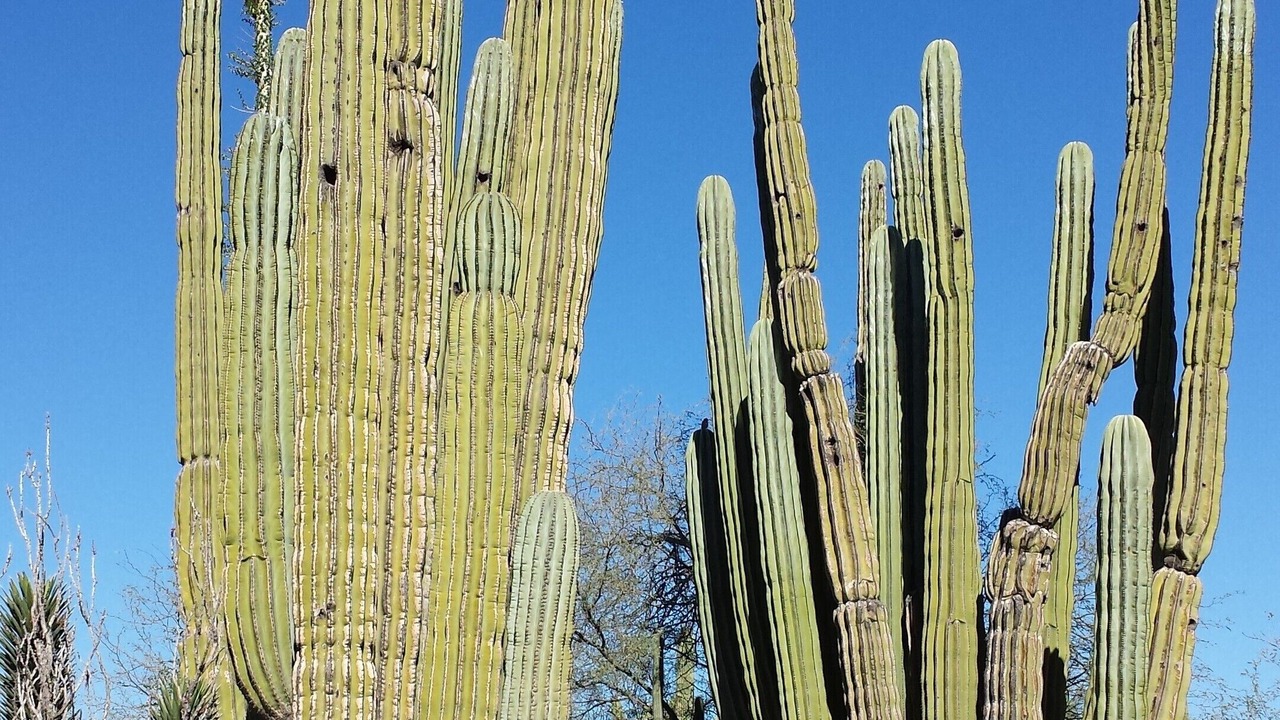 Photo of Outdoor in Montecito in Estrella