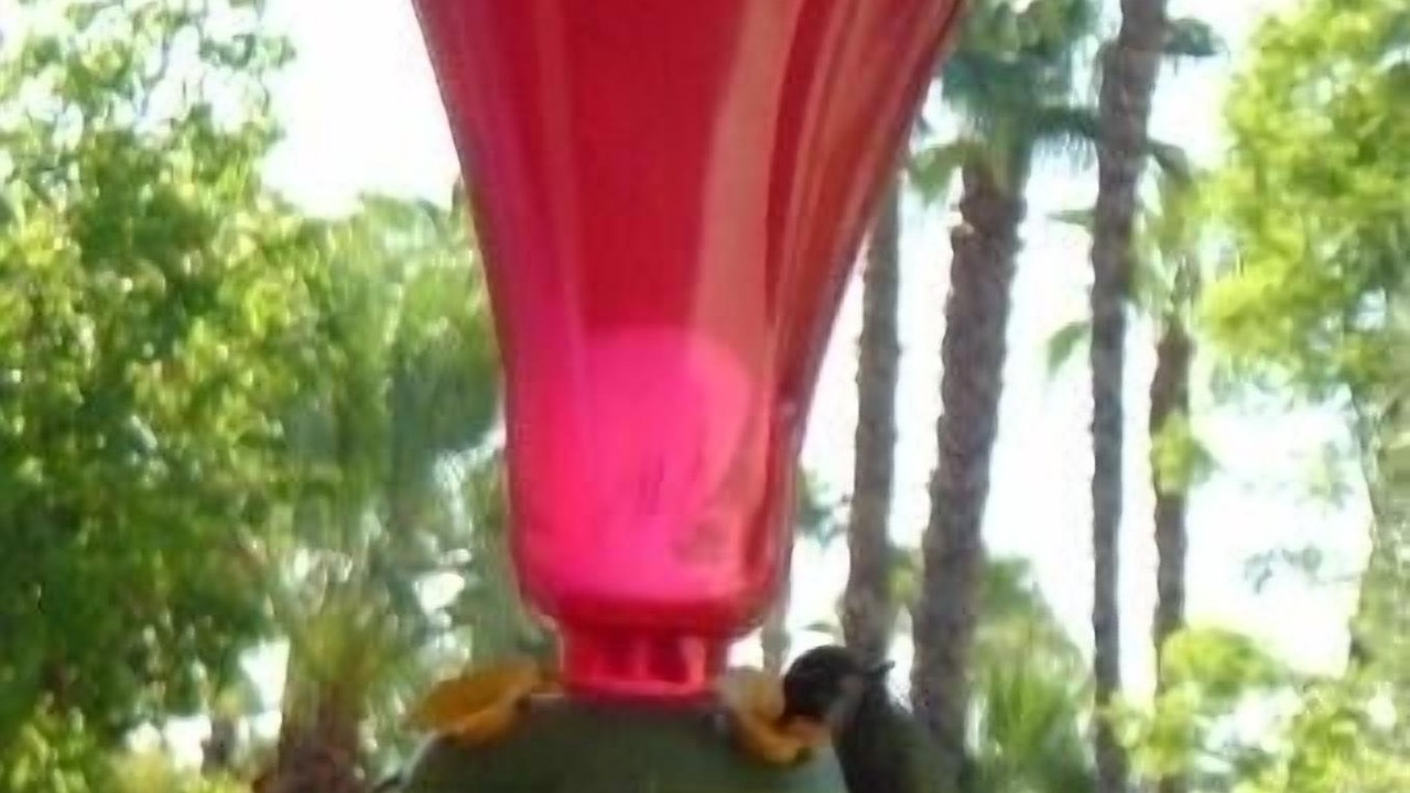Photo of Others in Palm Springs
