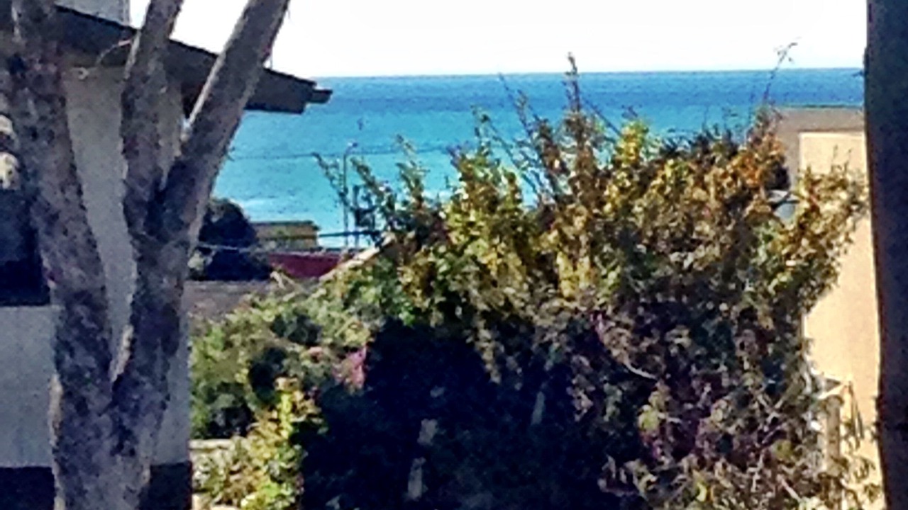 Photo of Others in Cayucos