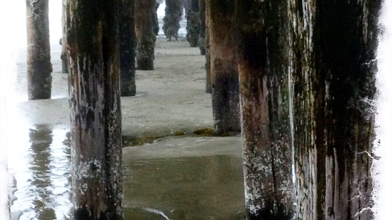 Photo of Others in Cayucos