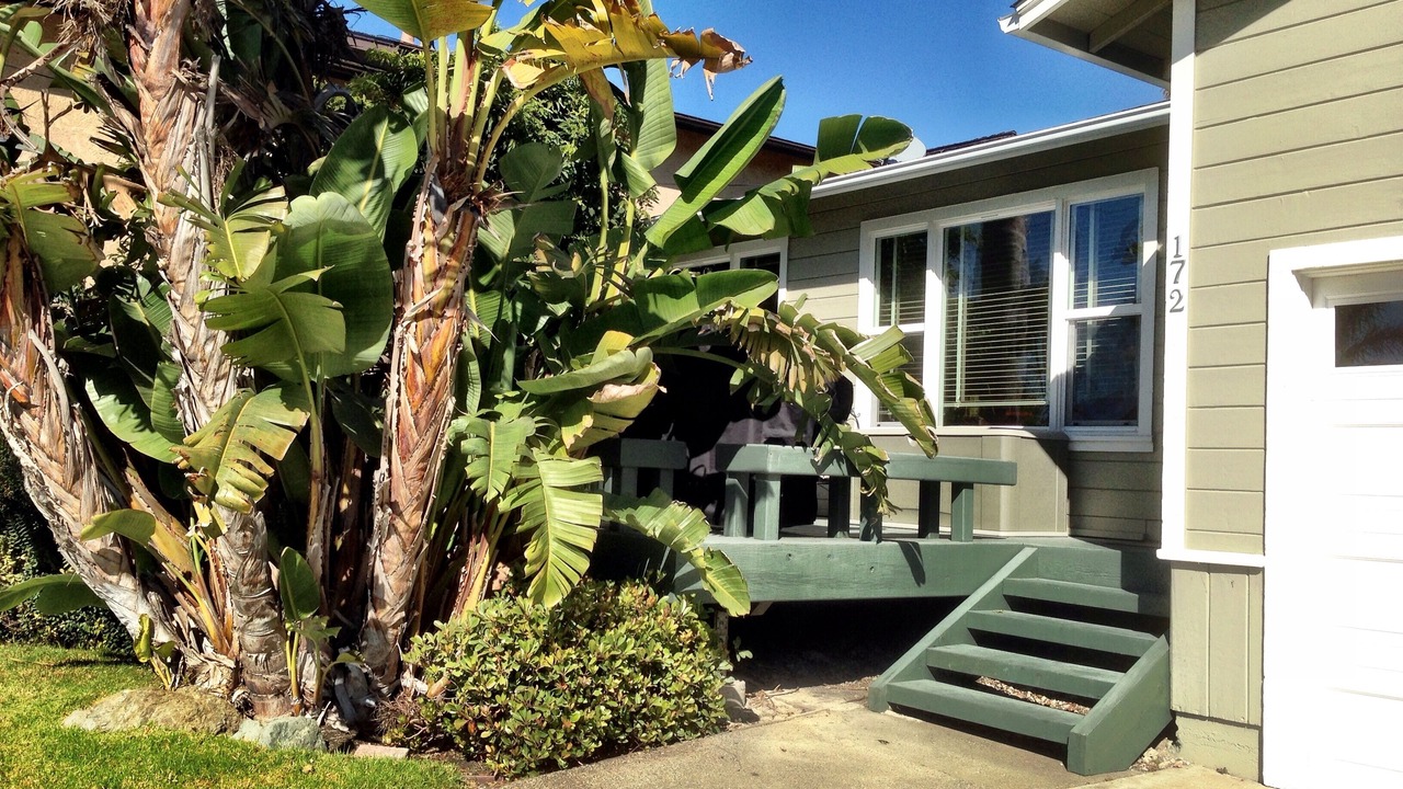 Photo of Others in Cayucos