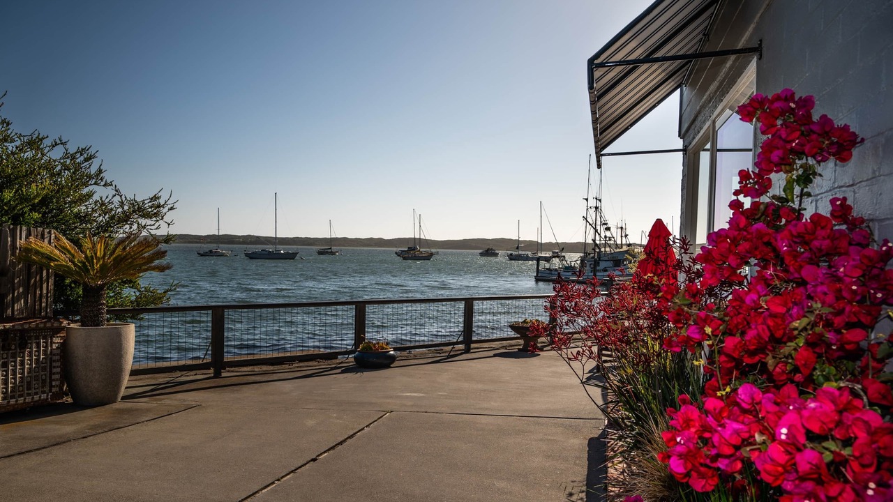 Photo of Others in Morro Bay