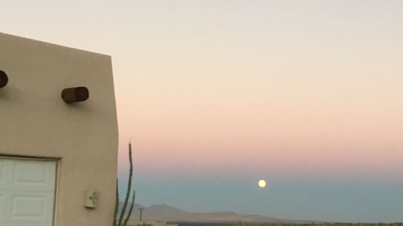 Photo of Others in Borrego Springs