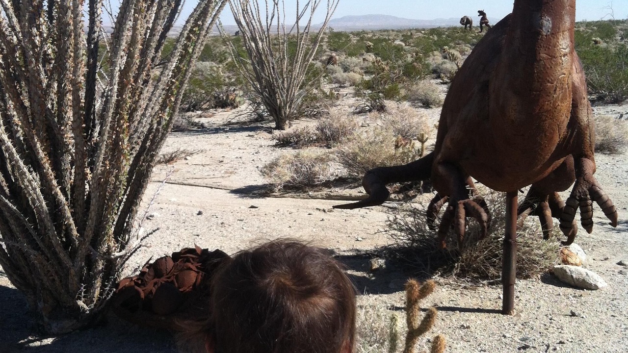 Photo of Others in Borrego Springs