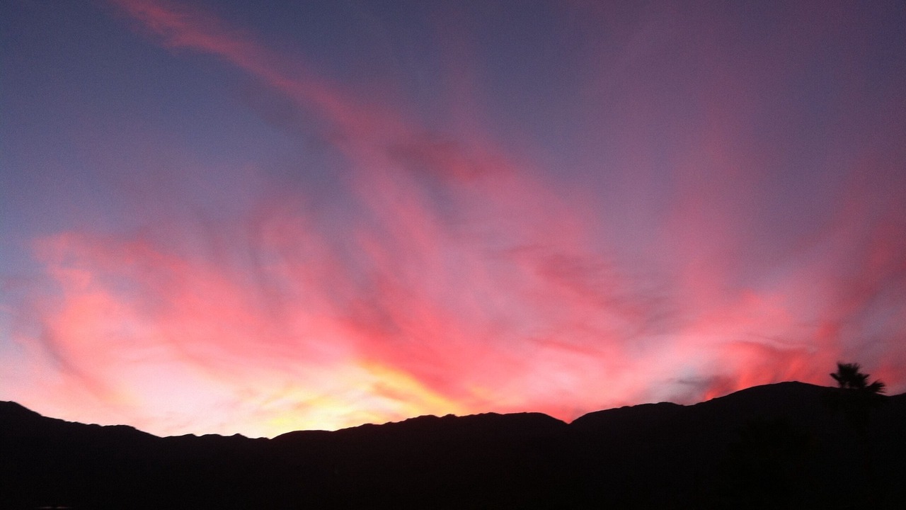 Photo of Others in Borrego Springs