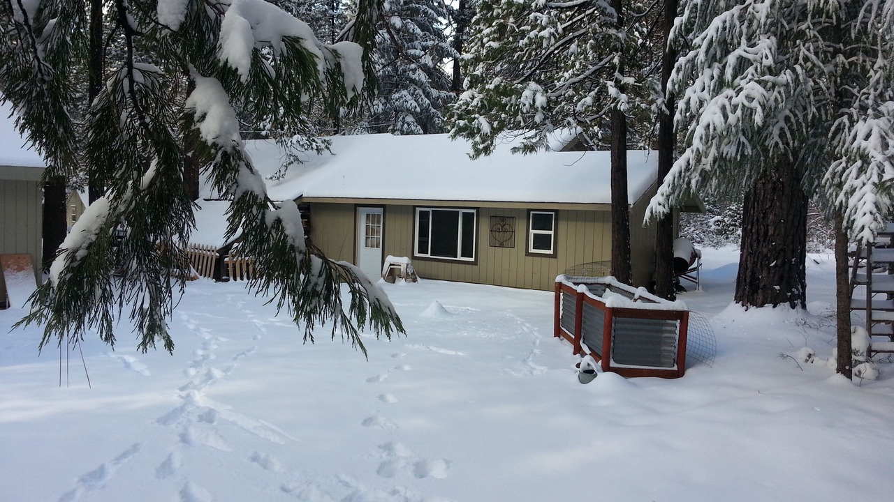 Photo of Outdoor in Shingletown