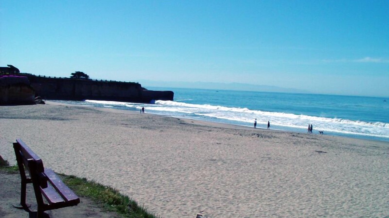 Photo of Others in Eastside Santa Cruz