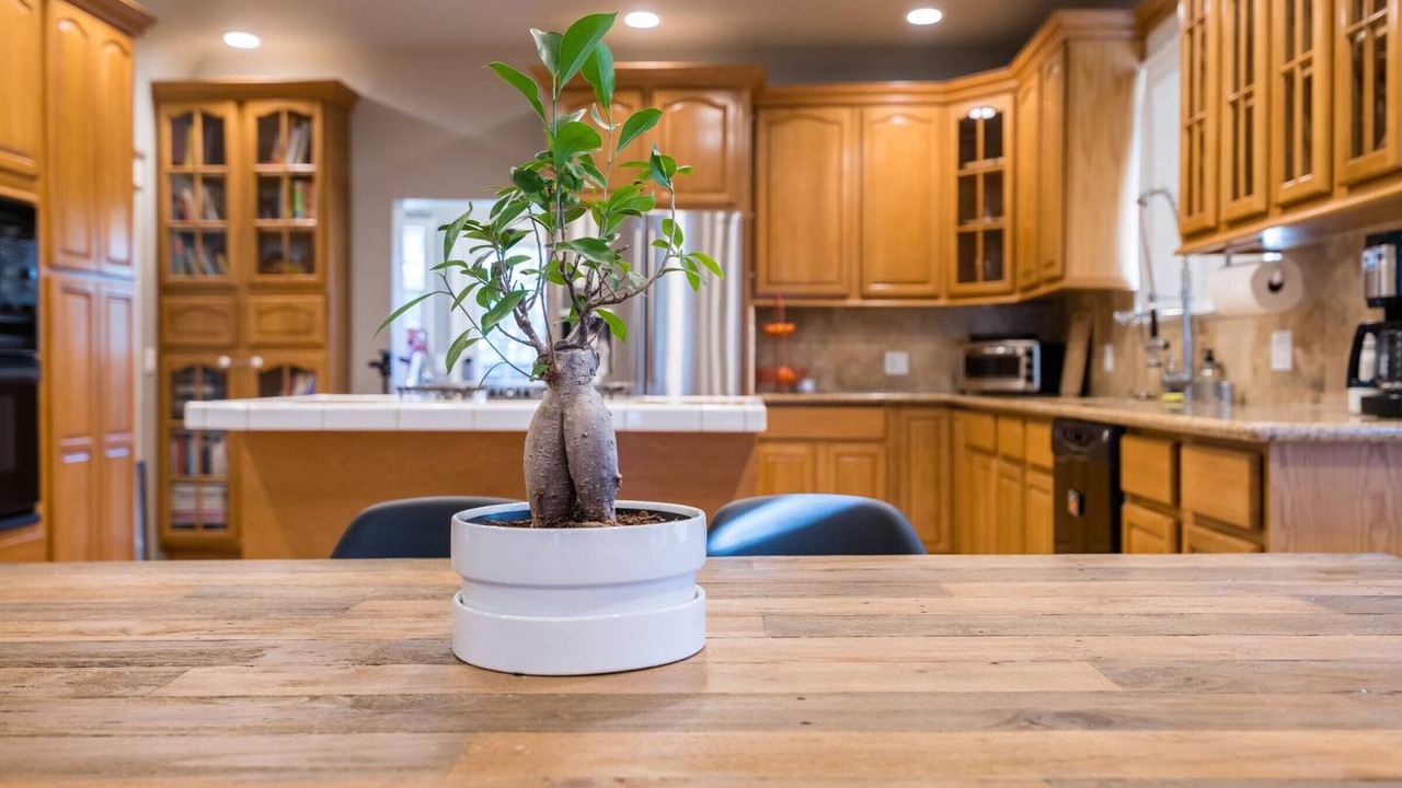 Photo of Kitchen in Horace Mann