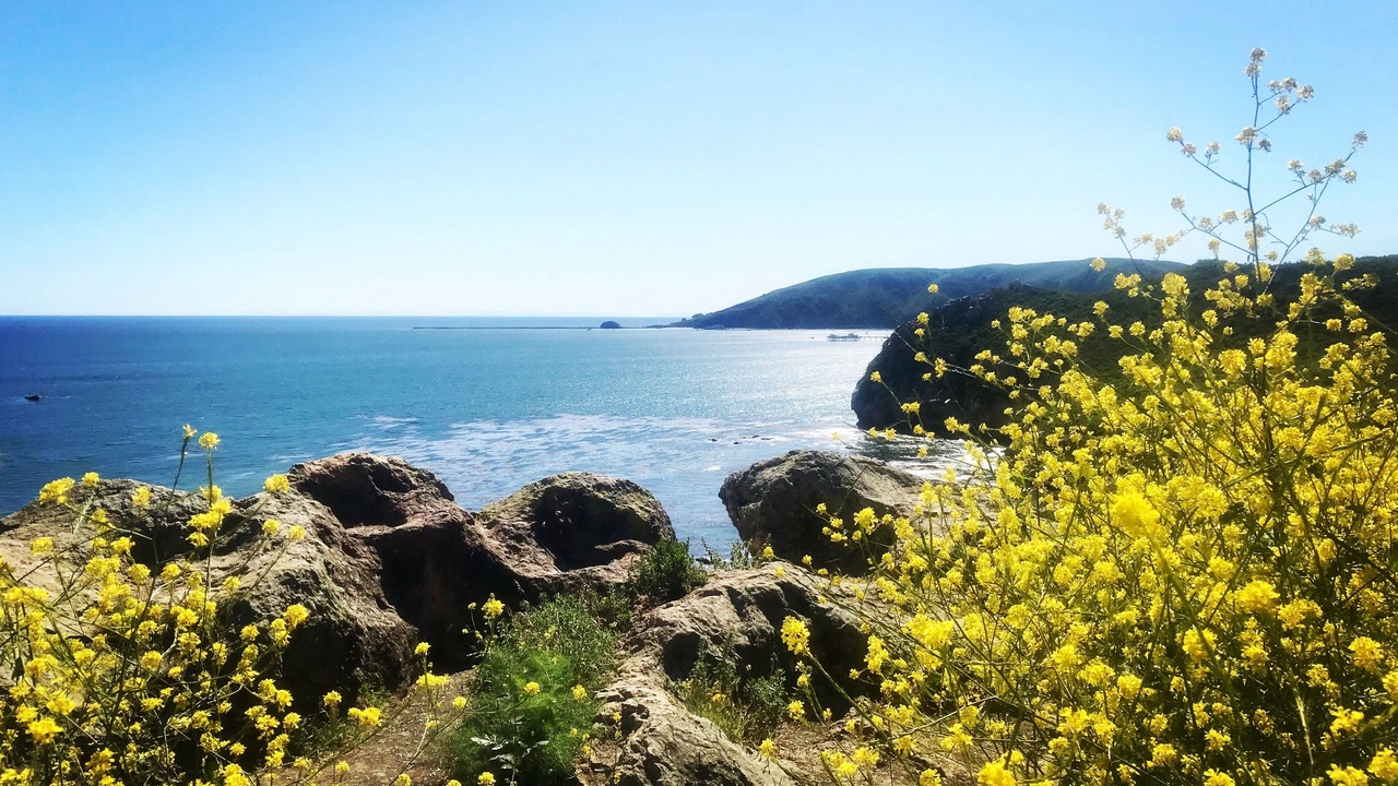 Photo of Others in Shell Beach