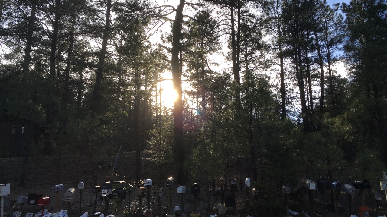 Photo of Others in Prescott