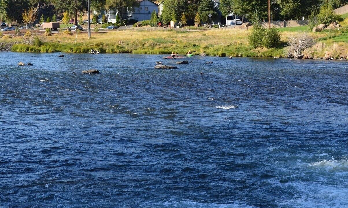Photo of Others in Old Bend
