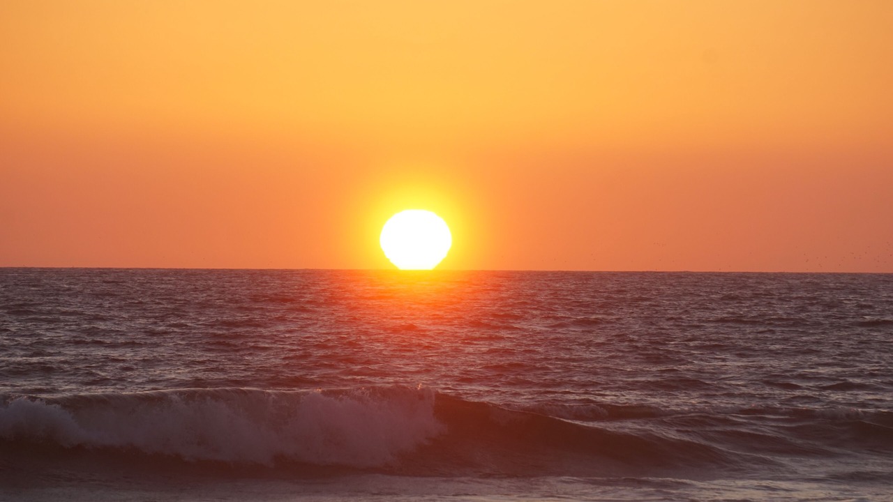 Photo of Others in Imperial Beach