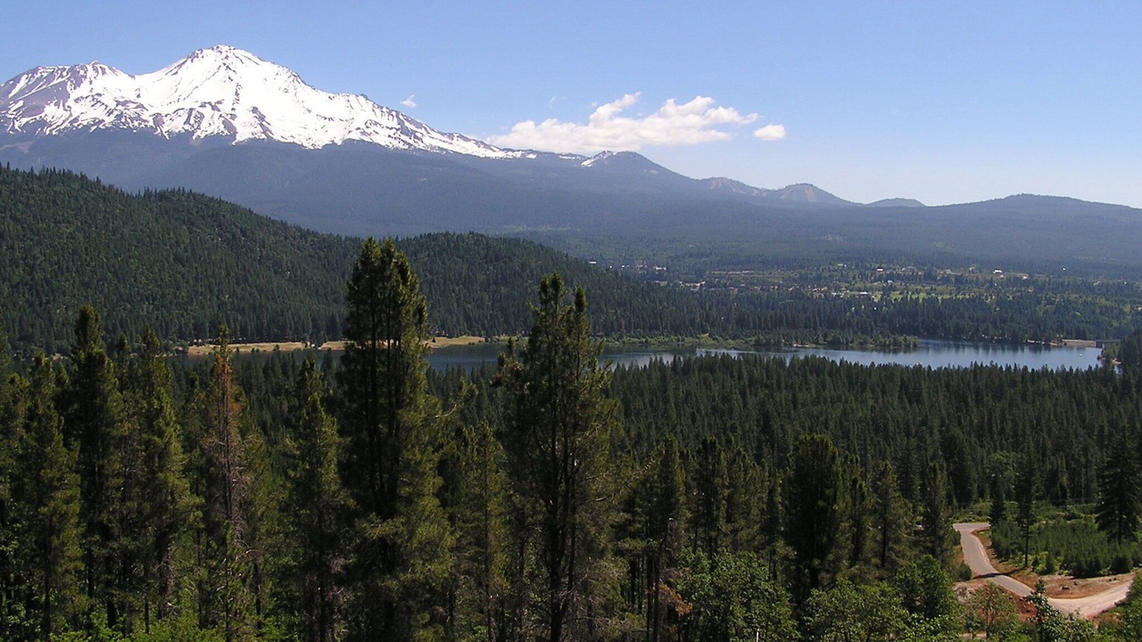 Photo of Others in Mount Shasta