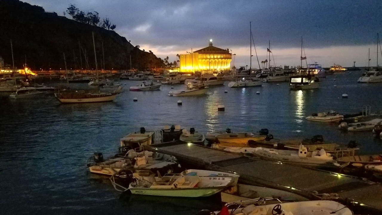 Photo of Others in Avalon