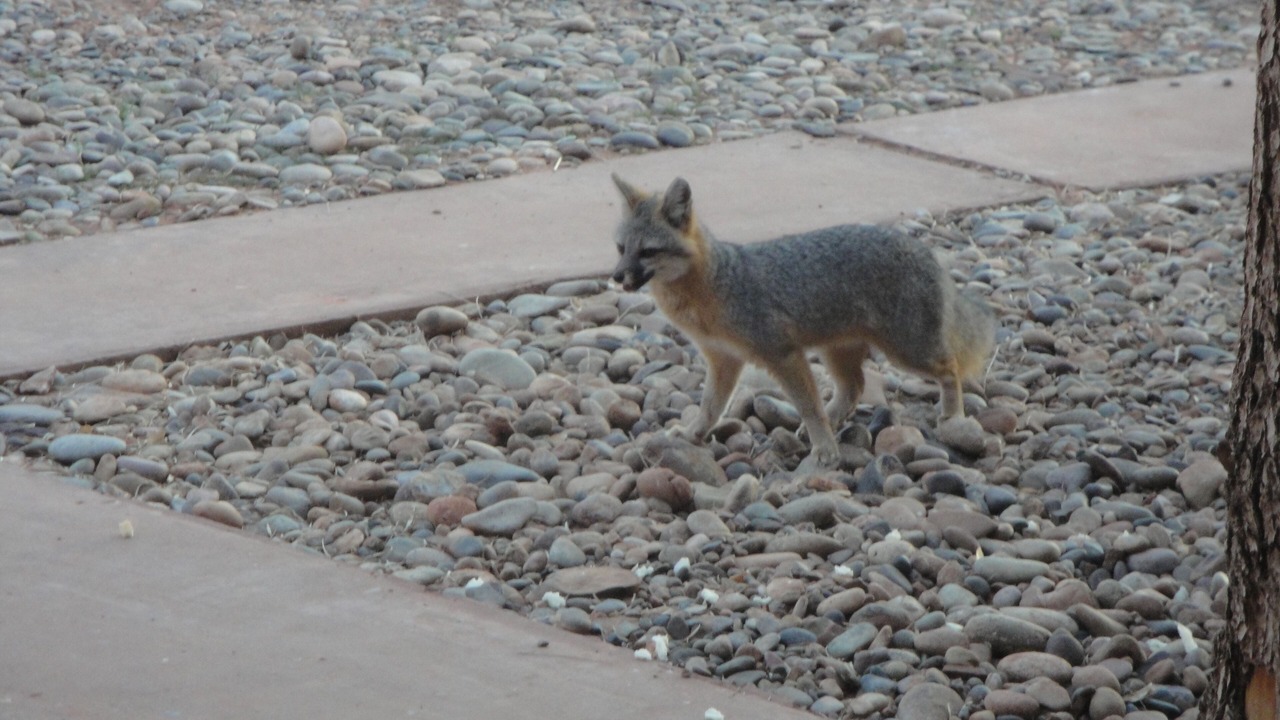 Photo of Others in Moab