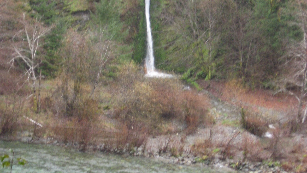 Photo of Others in Crescent City