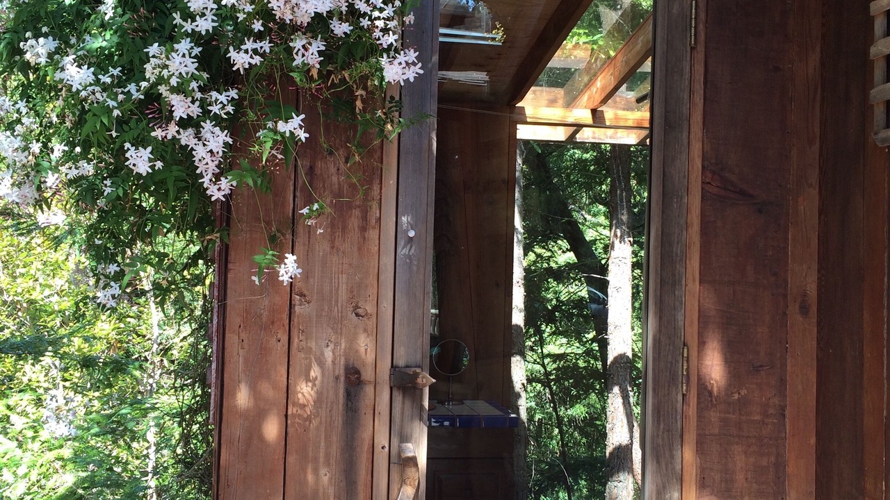 Photo of Outdoor in Carmel