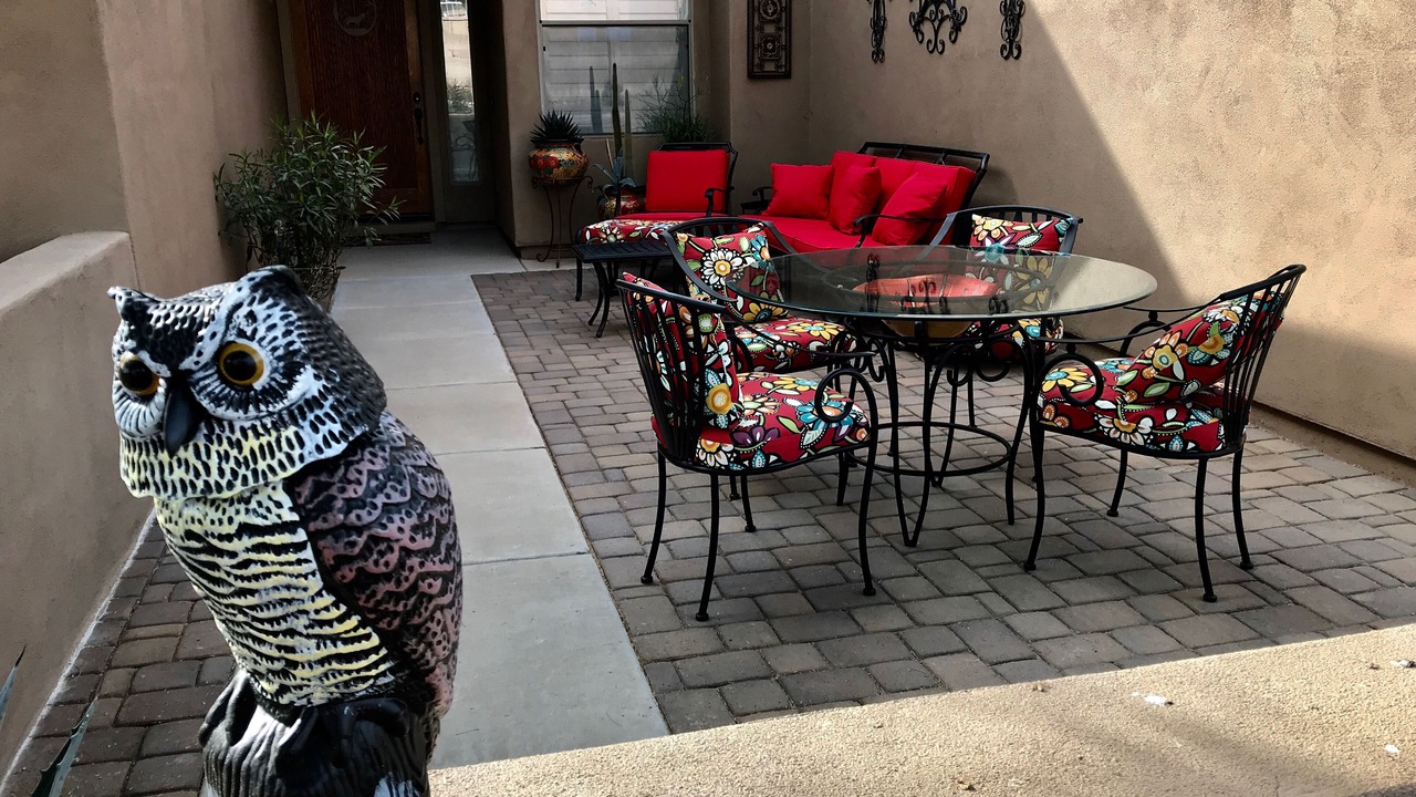 Photo of Outdoor in Gold Canyon