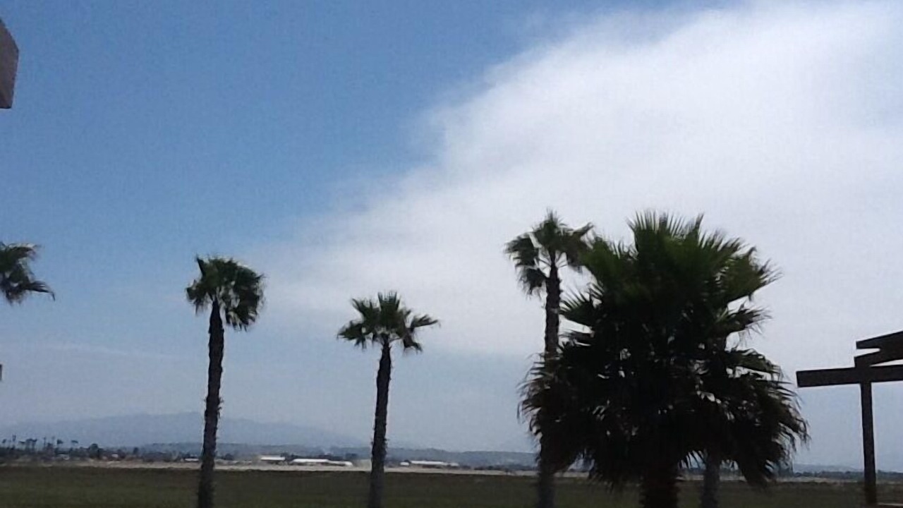 Photo of Others in Imperial Beach