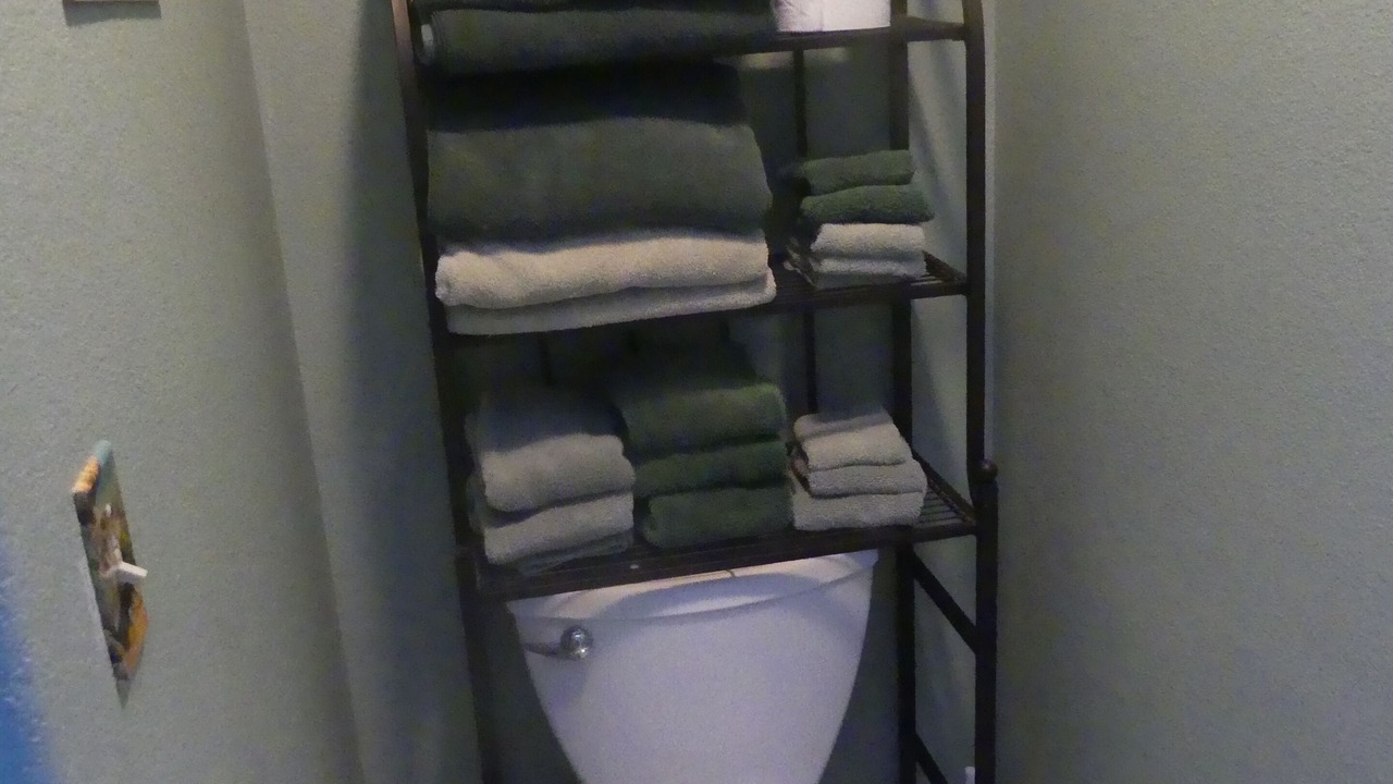 Photo of Bathroom in Mount Shasta