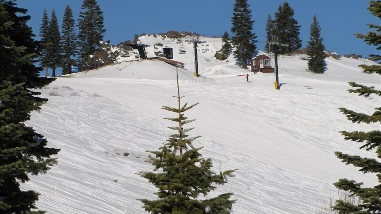 Photo of Others in Truckee
