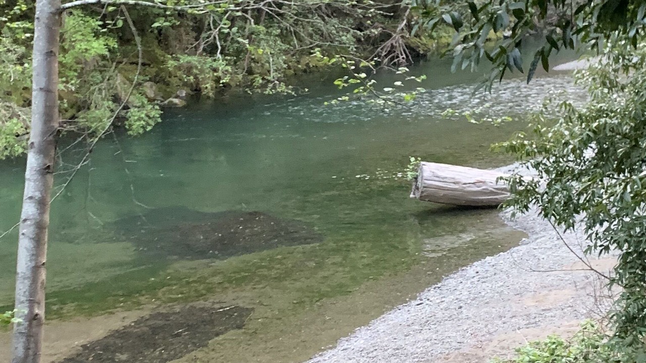 Photo of Others in Cazadero
