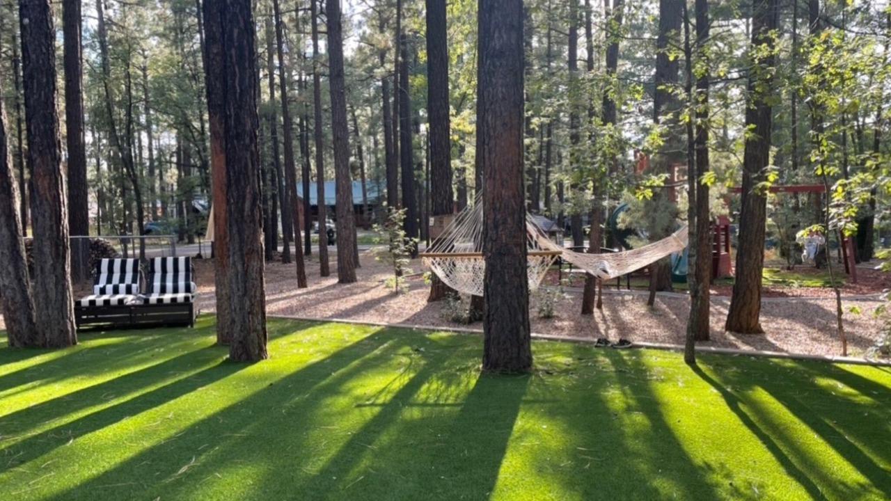 Photo of Others in Pinetop