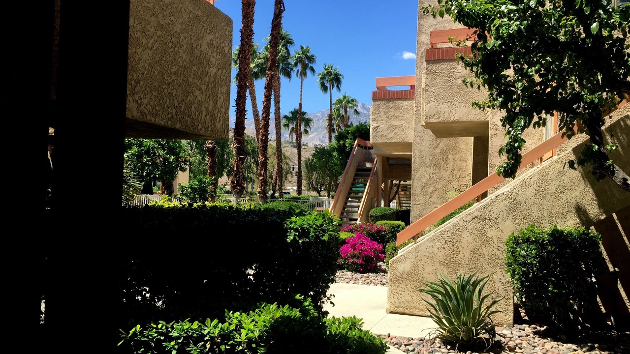 Photo of Others in Palm Springs