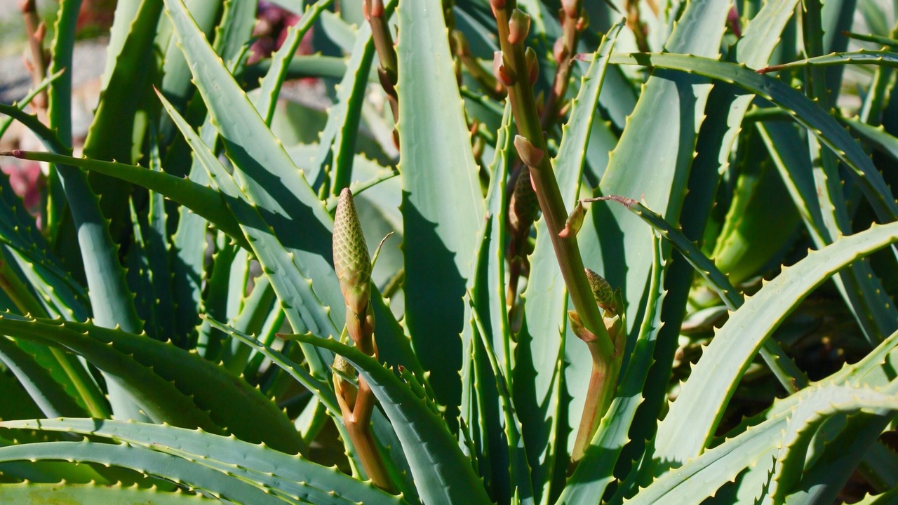 Photo of Outdoor in Morro Bay