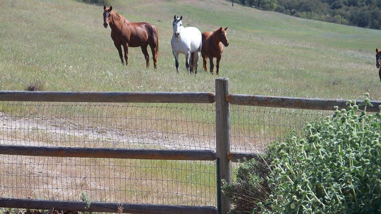 Photo of Others in Templeton