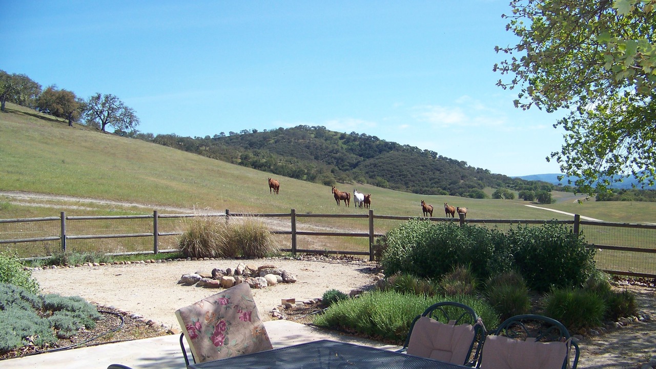 Photo of Outdoor in Templeton