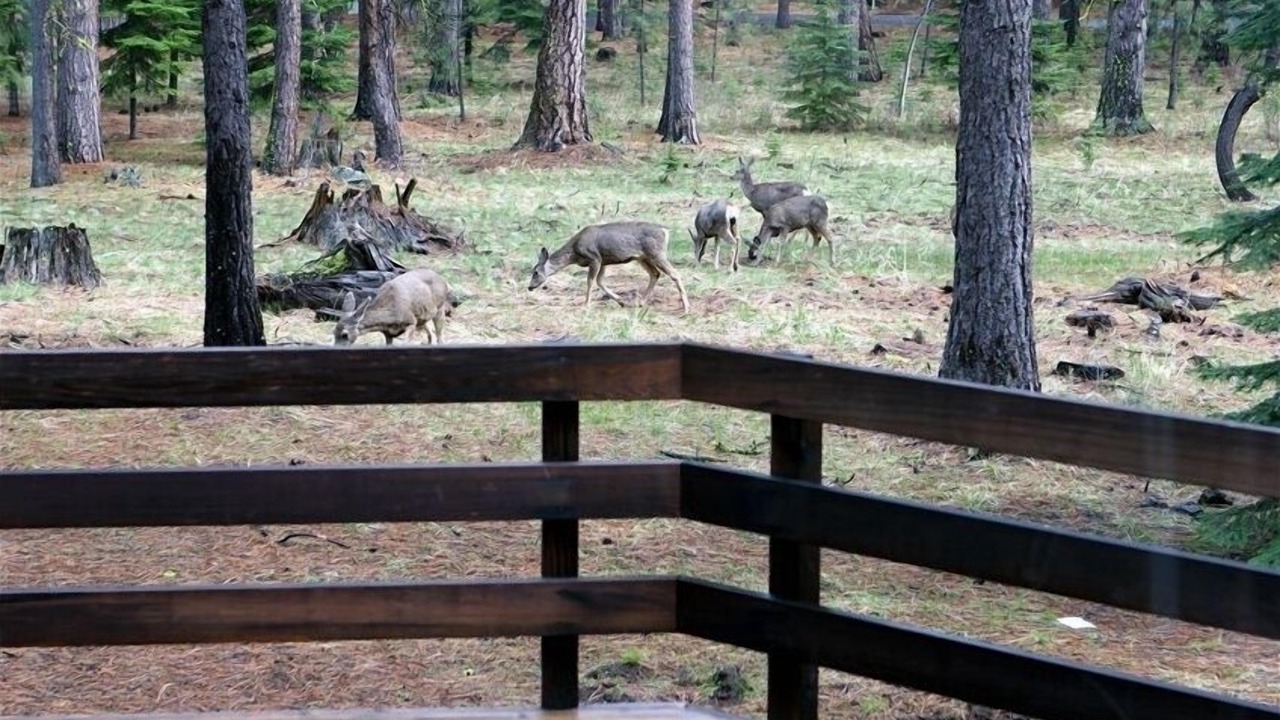 Photo of Others in Black Butte Ranch