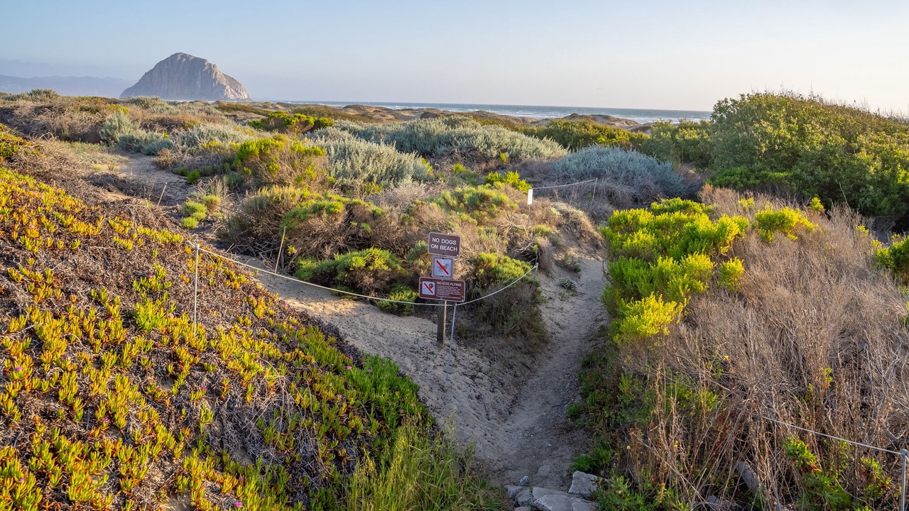 Photo of Others in Morro Bay