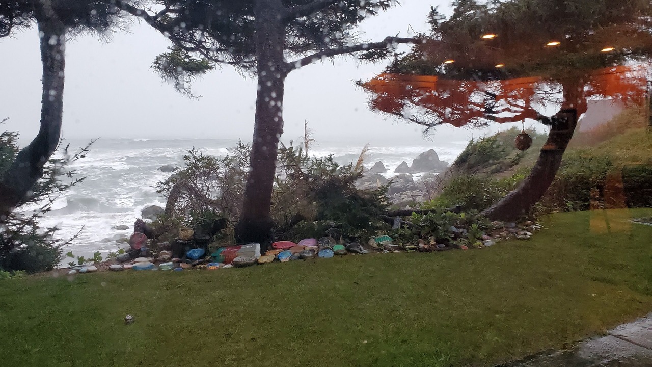 Photo of Outdoor in Smith River