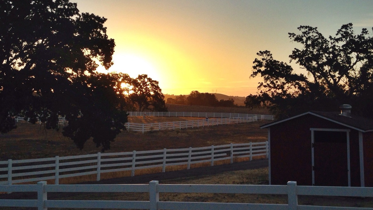 Photo of Others in Templeton