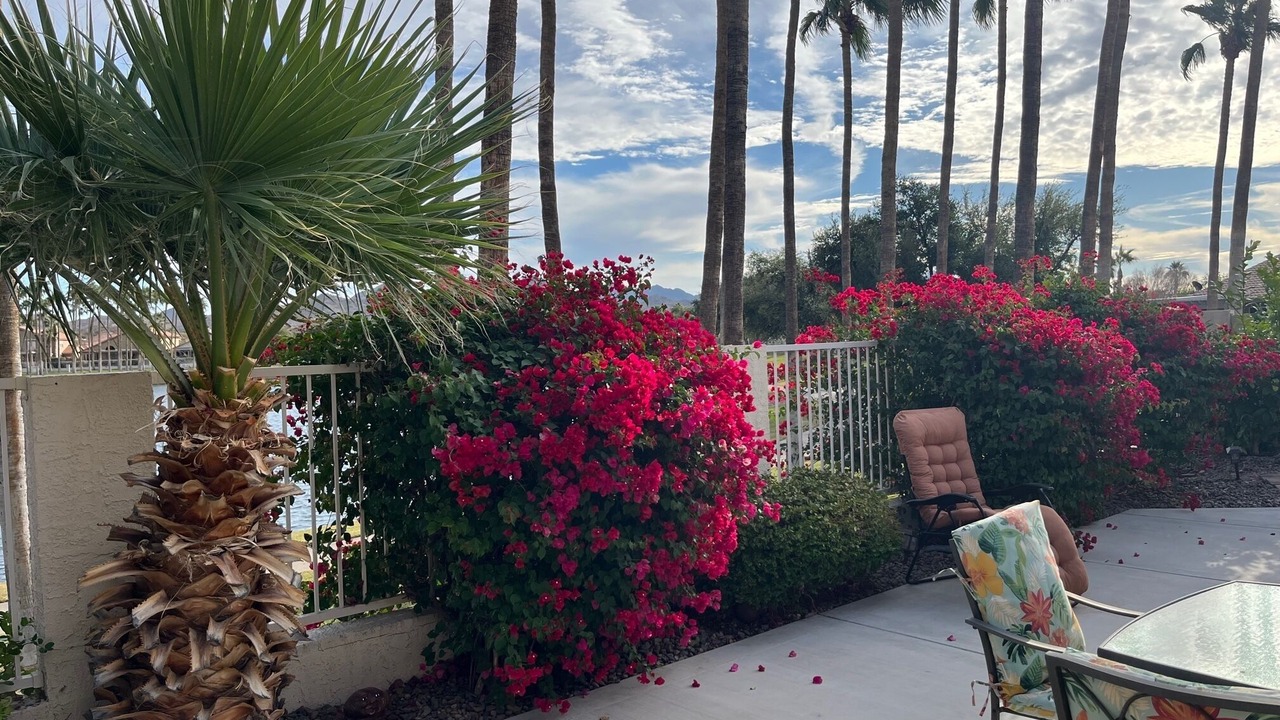 Photo of Outdoor in Estrella Mountain Ranch